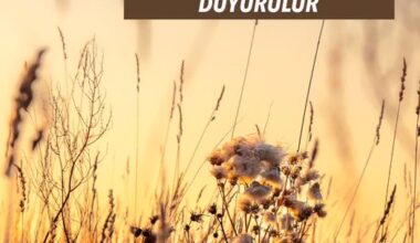 MÜKEMMEL EVLAT YETİŞTİRMEK İSTEYENLERE DUYURULUR MÜKEMMEL EVLAT YETİŞTİRMEK İSTEYENLERE DUYURULUR
