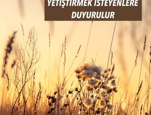 MÜKEMMEL EVLAT YETİŞTİRMEK İSTEYENLERE DUYURULUR