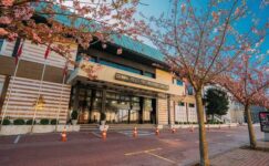 Cemal Reşit Rey Konser Salonu, yenileme çalışmalarının ardından açıldı: